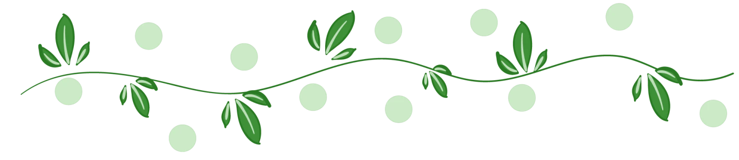 Why Every Woman Deserves Great Underwear -Venus Underwear Shop —Pngtree—leaf dividing line hand drawn 4502172 e1751683814795